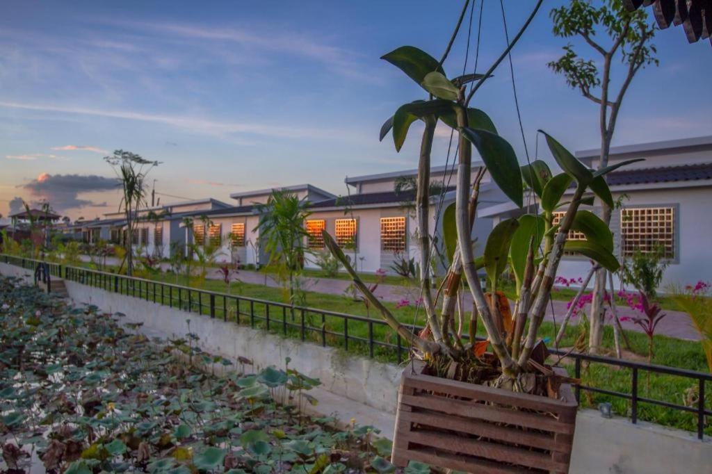ไร โลตัส รีสอร์ต ดังกอร์ Hotel เสียมราฐ ภายนอก รูปภาพ
